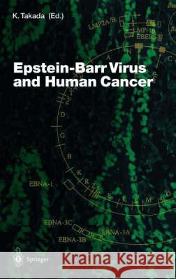 Epstein-Barr Virus and Human Cancer K. Takada Kenzo Takada K. Takada 9783540415060 Springer