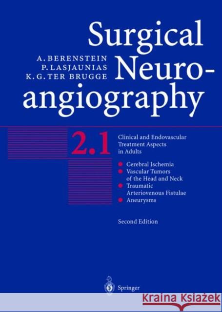 Surgical Neuroangiography: Vol.2: Clinical and Endovascular Treatment Aspects in Adults Berenstein, Alejandro 9783540416685