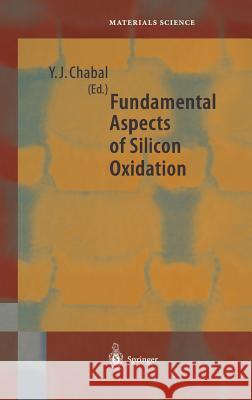Fundamental Aspects of Silicon Oxidation  9783540416821 