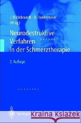 Neurodestruktive Verfahren in Der Schmerztherapie Hildebrandt, J. 9783540419228 Not Avail