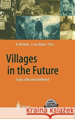 Villages in the Future: Crops, Jobs and Livelihood Virchow, Detlef 9783540424673 Springer Berlin Heidelberg