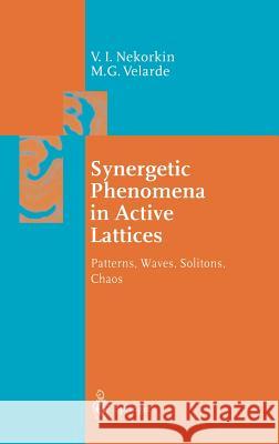 Synergetic Phenomena in Active Lattices: Patterns, Waves, Solitons, Chaos Nekorkin, Vladimir I. 9783540427155