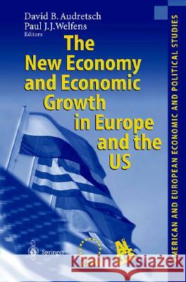 The New Economy and Economic Growth in Europe and the Us Audretsch, David B. 9783540431794 Springer