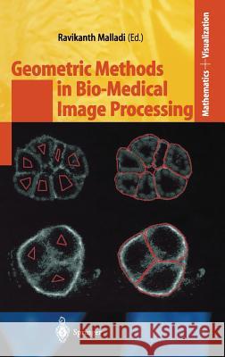 Geometric Methods in Bio-Medical Image Processing Ravikanth Malladi 9783540432166 Springer-Verlag Berlin and Heidelberg GmbH & 