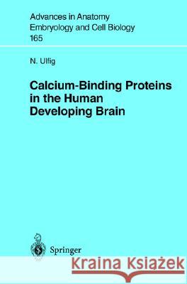 Calcium-Binding Proteins in the Human Developing Brain N. Ulfig 9783540434634 Springer