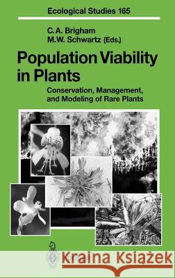 Population Viability in Plants: Conservation, Management, and Modeling of Rare Plants Brigham, Christy A. 9783540439097 Springer
