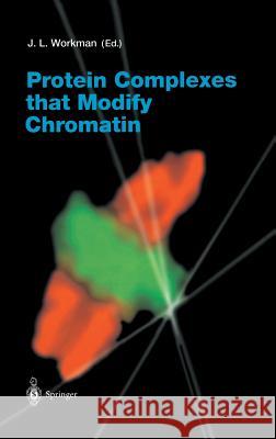 Protein Complexes That Modify Chromatin Workman, Jerry L. 9783540442080