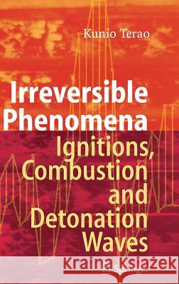 Irreversible Phenomena: Ignitions, Combustion and Detonation Waves Terao, Kunio 9783540499008