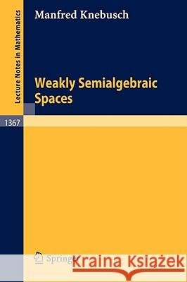 Weakly Semialgebraic Spaces Manfred Knebusch 9783540508151 Springer-Verlag Berlin and Heidelberg GmbH & 