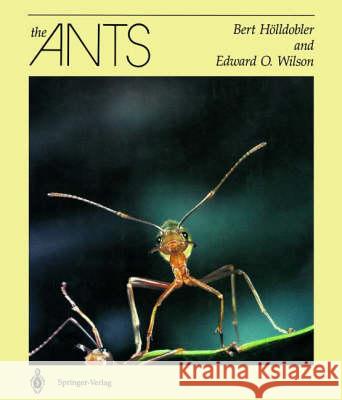 The Ants Bert Holldobler Edward O. Wilson 9783540520924 SPRINGER-VERLAG BERLIN AND HEIDELBERG GMBH & 