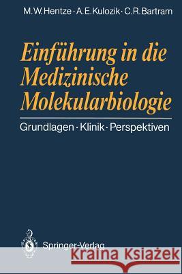 Einführung in Die Medizinische Molekularbiologie: Grundlagen Klinik Perspektiven Hentze, Matthias W. 9783540522850 Springer