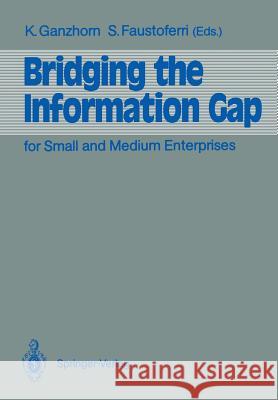 Bridging the Information Gap: For Small and Medium Enterprises Ganzhorn, Karl 9783540527060