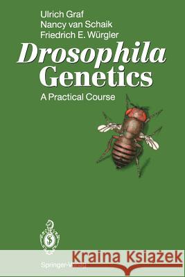 Drosophila Genetics: A Practical Course Graf, Ulrich 9783540543275 Springer-Verlag