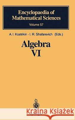 Algebra VI: Combinatorial and Asymptotic Methods of Algebra. Non-Associative Structures Dimitric, R. 9783540546993 SPRINGER-VERLAG BERLIN AND HEIDELBERG GMBH & 