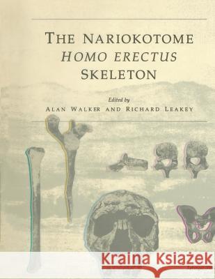 The Nariokotome Homo Erectus Skeleton Alan Walker Richard Leakey Alan Walker 9783540563013 Springer
