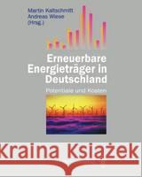 Erneuerbare Energieträger in Deutschland: Potentiale Und Kosten Kaltschmitt, Martin 9783540566311