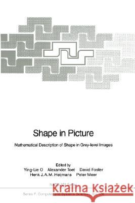 Shape in Picture: Mathematical Description of Shape in Grey-Level Images O, Ying-Lie 9783540575788 Springer