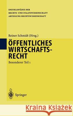 Öffentliches Wirtschaftsrecht: Besonderer Teil 1 Schmidt, Reiner 9783540586302