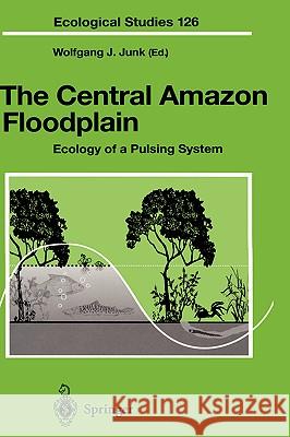 The Central Amazon Floodplain: Ecology of a Pulsing System Junk, Wolfgang J. 9783540592761 Springer