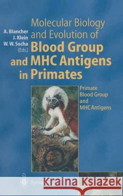 Molecular Biology and Evolution of Blood Group and Mhc Antigens in Primates: Primate Blood Group and Mhc Antigens A. Blancher Antoine Blancher Jan Klein 9783540616368 Springer