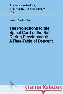 The Projections to the Spinal Cord of the Rat During Development: A Timetable of Descent E. A. Lakke Lakke 9783540618782 Springer