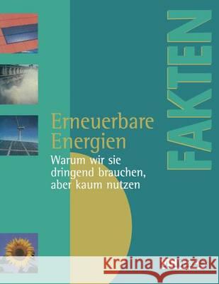 Erneuerbare Energien: Warum Wir Sie Dringend Brauchen, Aber Kaum Nutzen Berichte, Analysen, Argumente Dieter Beste Marion Kalke 9783540627425