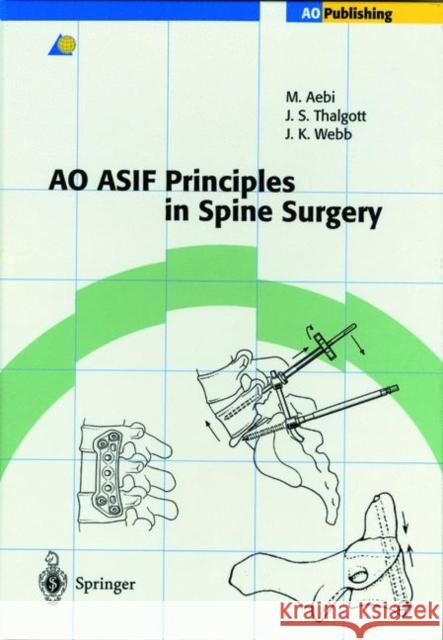 Ao Asif Principles in Spine Surgery Goytan, M. 9783540627630 SPRINGER-VERLAG BERLIN AND HEIDELBERG GMBH & 