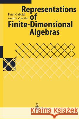 Representations of Finite-Dimensional Algebras Peter Gabriel P. Gabriel Andrei V. Roiter 9783540629900 Springer