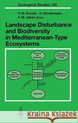 Landscape Disturbance and Biodiversity in Mediterranean-Type Ecosystems P. W. Rundel Gloria Montenegro Fabian M. Jaksic 9783540644750