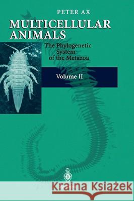 Multicellular Animals: Volume II: The Phylogenetic System of the Metazoa Kinsey, S. 9783540674061 Springer