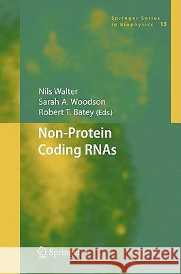 Non-Protein Coding Rnas Walter, Nils 9783540708339 Springer