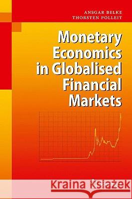 Monetary Economics in Globalised Financial Markets Ansgar Belke Polleit Thorsten 9783540710028 Springer