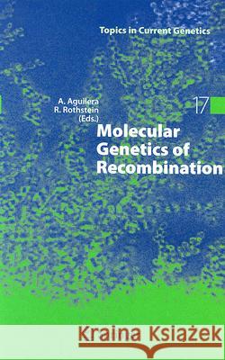 Molecular Genetics of Recombination Andres Aguilera Rodney Rothstein 9783540710202 Springer