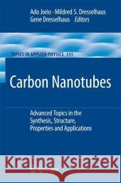 Carbon Nanotubes: Advanced Topics in the Synthesis, Structure, Properties and Applications Jorio, Ado 9783540728641 Springer