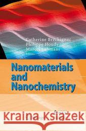 Nanomaterials and Nanochemistry Catherine Brechignac Philippe Houdy Marcel Lahmani 9783540729921 Springer