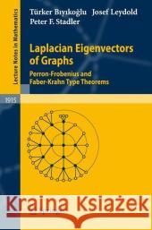 Laplacian Eigenvectors of Graphs: Perron-Frobenius and Faber-Krahn Type Theorems Biyikoglu, Türker 9783540735090 Springer