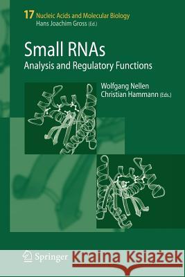 Small RNAs: Analysis and Regulatory Functions Nellen, Wolfgang 9783540742708 Springer