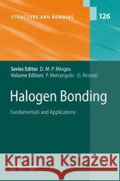 Halogen Bonding: Fundamentals and Applications Metrangolo, Pierangelo 9783540743293 Springer