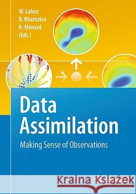 Data Assimilation: Making Sense of Observations Lahoz, William 9783540747024 Springer