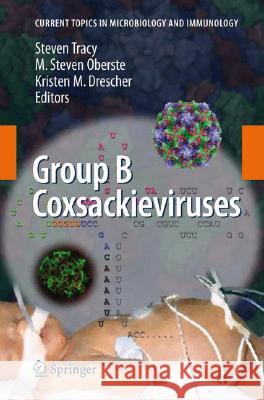Group B Coxsackieviruses Steven Tracy 9783540755456 SPRINGER-VERLAG BERLIN AND HEIDELBERG GMBH & 