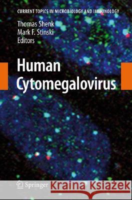 Human Cytomegalovirus Thomas E. Shenk 9783540773481 Not Avail