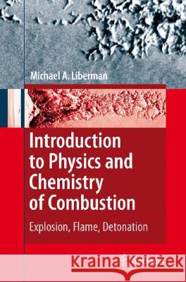 Introduction to Physics and Chemistry of Combustion: Explosion, Flame, Detonation Liberman, Michael A. 9783540787587 0