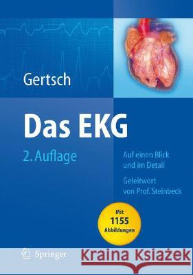 Das EKG: Auf Einen Blick Und Im Detail Fässler, Benjamin 9783540791218 Springer