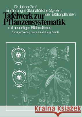 Tafelwerk Zur Pflanzensystematik: Einführung in Das Natürliche System Der Blütenpflanzen Durch Neuartige Bildmethode Weber, H. 9783540798040 Springer