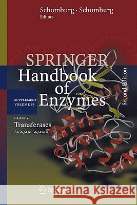 Class 2 Transferases: EC 2.7.11.1-2.7.11.16 Dietmar Schomburg, Ida Schomburg, Antje Chang 9783540856986