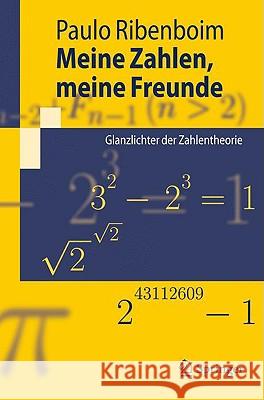 Meine Zahlen, Meine Freunde: Glanzlichter Der Zahlentheorie Richstein, Jörg 9783540879558 Springer