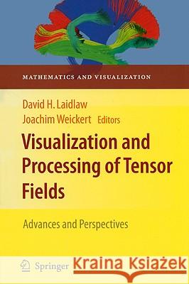 Visualization and Processing of Tensor Fields: Advances and Perspectives Laidlaw, David H. 9783540883777