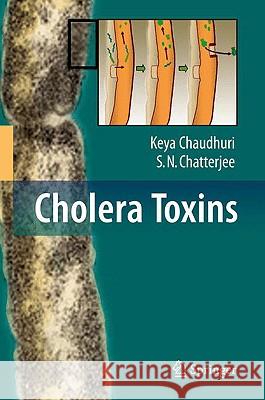 Cholera Toxins Keya Chaudhuri 9783540884514 0