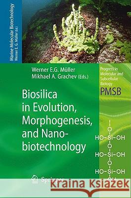 Biosilica in Evolution, Morphogenesis, and Nanobiotechnology: Case Study Lake Baikal Müller, Werner E. G. 9783540885511 Springer