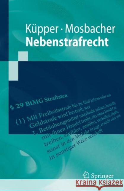 Nebenstrafrecht Georg Ka1/4pper Andreas Mosbacher 9783540890652 Springer